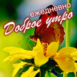 Russian Good Morning Everyday icon