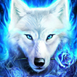 プログラムのアイコン：Wolf Wallpaper