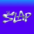 Ikona programu: SLAP MVP