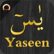 Surah Yaseen - يس