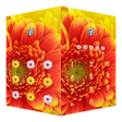 程序图标：AppLock Theme Gerbera