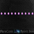 プログラムのアイコン：ParaCom Spirit Box