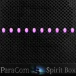 ParaCom Spirit Box
