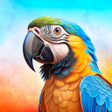 Programikonen: Bird Translator Game