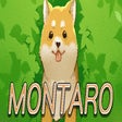 Montaro icon