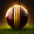 プログラムのアイコン：Cricket Wallpaper