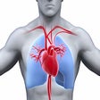 Icon of program: Cardiopulmonary Sounds