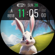 أيقونة البرنامج: Animated Valentine Easter…