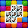 Fruit Forest - Cube Puzzle Leg icon