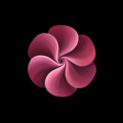 Icoon van programma: Modio: AI Powered Photosh…