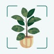 Иконка программы: Plant  tree identificatio…