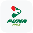 Puma PRIS GT