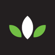 Parkmart icon
