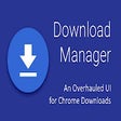 Icon of program: Download Manager
