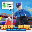 Ikon program: Hide and Seek Transform
