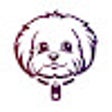 Ikon program: Qubba - сервис внутренний…