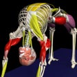 أيقونة البرنامج: Yoga by Muscle  Motion