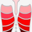 أيقونة البرنامج: Med3D DICOM
