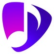 程序图标：Disco Polo Radio