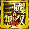 プログラムのアイコン：Dynasty Warriors M