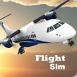 Иконка программы: Flight Sim 2021