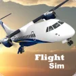 Flight Sim 2021