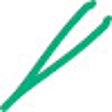 Ikon program: Word Tweezers