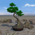Icono de programa: Bonsai 3D Live Wallpaper