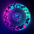 程序图标：Focus