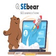 Icon of program: SEBear - SEO анализ в 1 к…