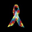 プログラムのアイコン: AutismTest