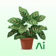 Icoon van programma: Verda: Plant Identify  Cu…