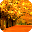 プログラムのアイコン：Autumn Wallpaper HD