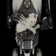 أيقونة البرنامج: The Talos Principle