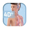 程序图标：Humanoid 4D