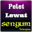 程序图标：Ilmu Pelet Lewat Senyuman…