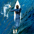 プログラムのアイコン：Surf King Kong
