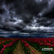 Ícone do programa: Storm Windows 7 Theme
