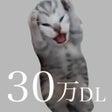 Programın simgesi: 猫ミーム Cat memes