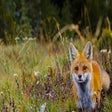Icon of program: Moments: A PNW New Tab