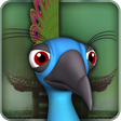 プログラムのアイコン：Pet Peacock