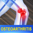 프로그램 아이콘: Osteoarthritis Joint Pain…