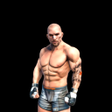 程序图标：Fight Arena Online