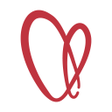 程序图标：Carelink Vikar
