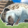 Icono de programa: Hedgehog Friends