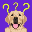Icoon van programma: Dog Breeds: TrainingGames…