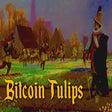 Bitcoin Tulips