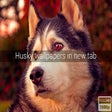 Husky Dog Wallpapers New Tab