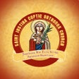 程序图标：St. Justinas Church App
