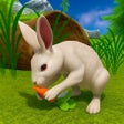 Иконка программы: Pet Bunny Rabbit Forest L…
